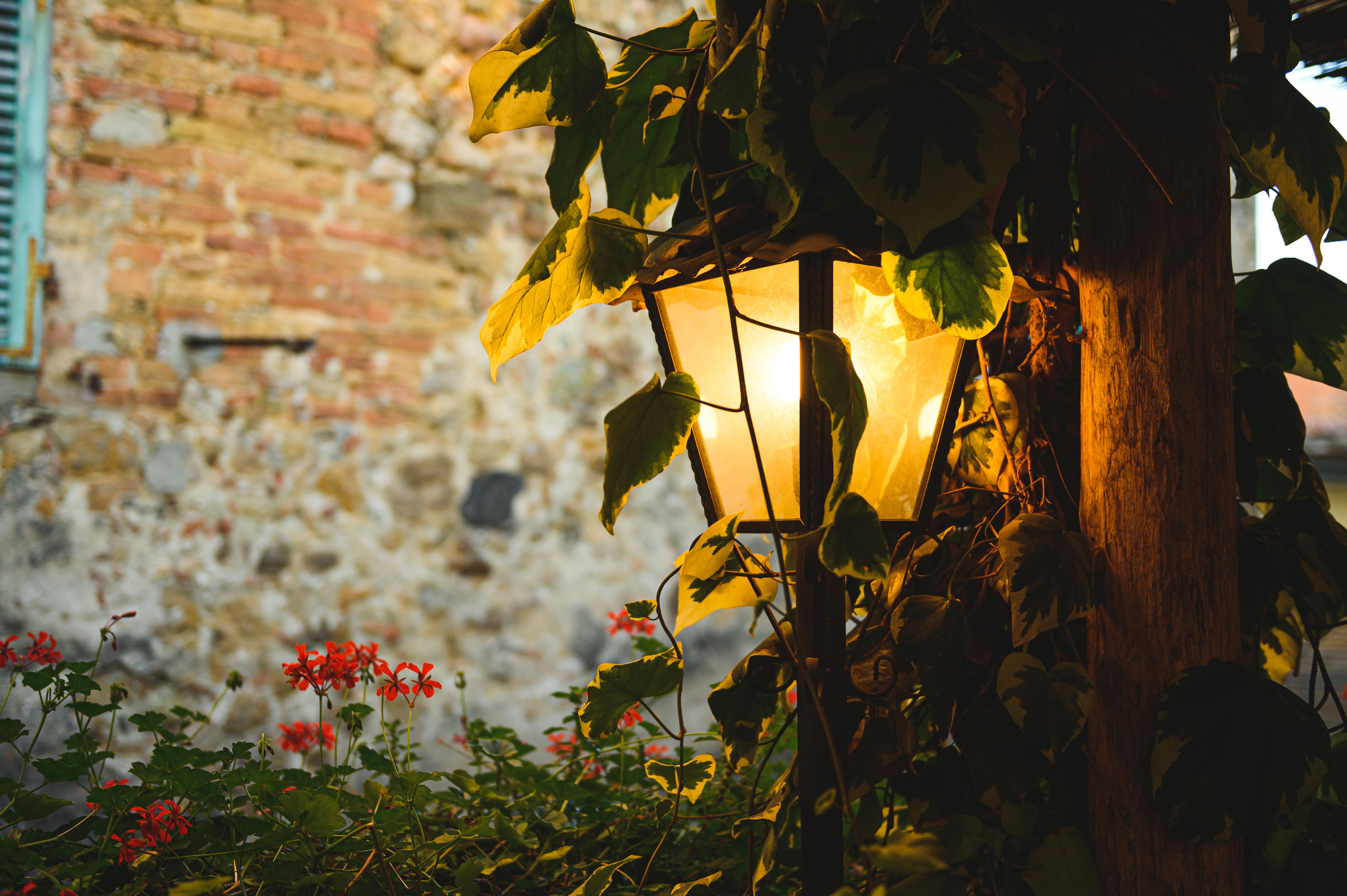 Hotel Palazzo Del Capitano Wellness E Relais San Quirico dʼOrcia Zewnętrze zdjęcie